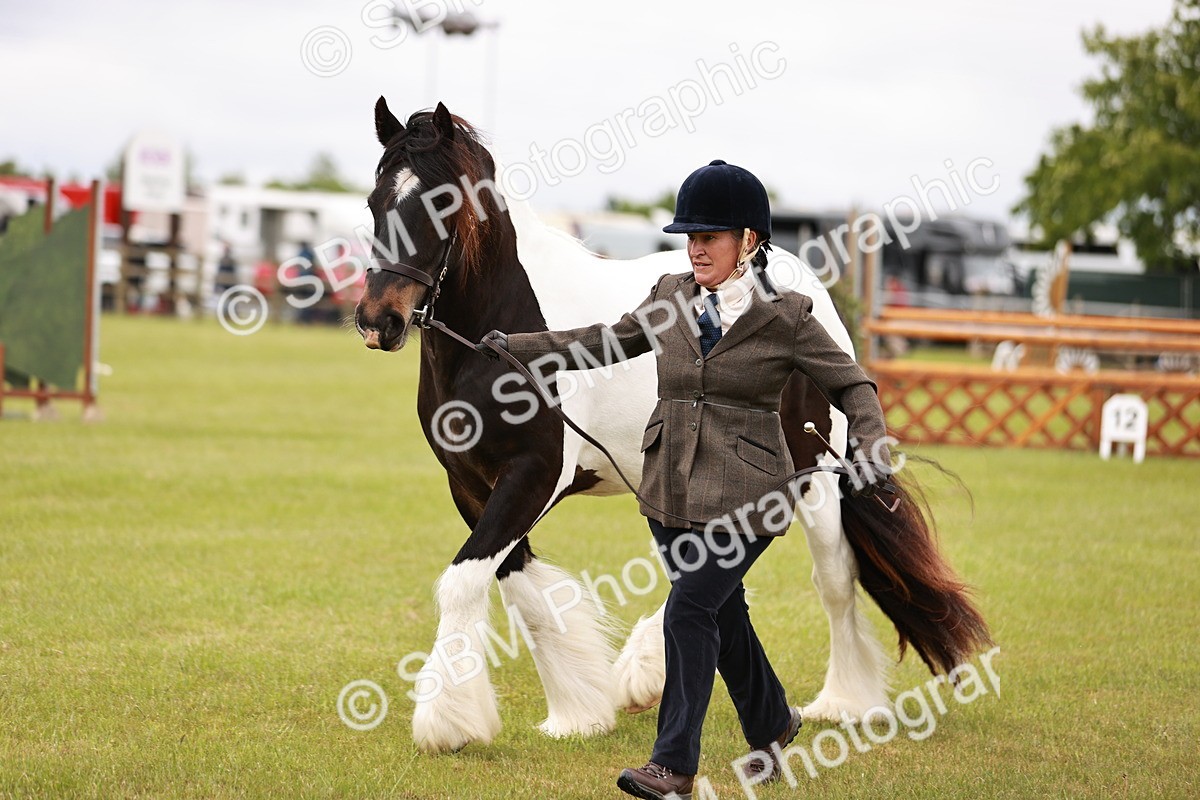 SBM_05981 - Class 39-41 TGCA In Hand and Ridden