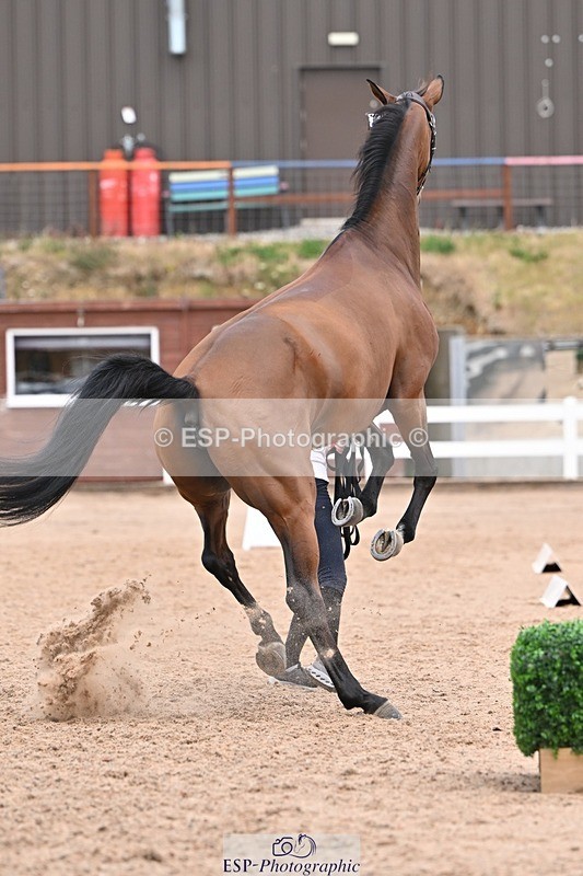 250716-141830-01006 - Trot Up 1.30 to 2.30