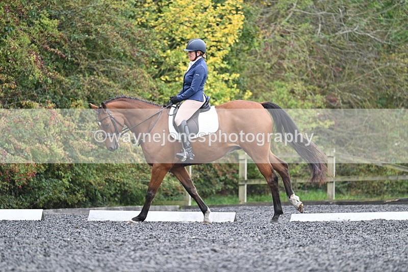 WJ7_4357 - Time 11:43 to 12:09