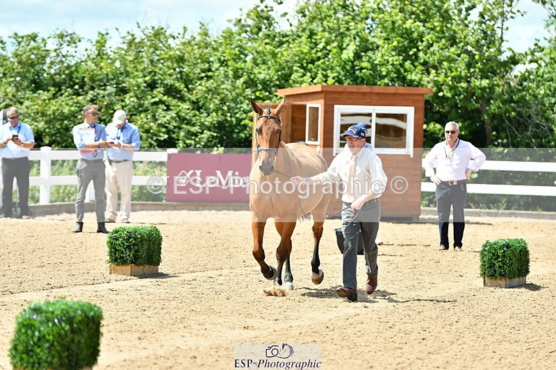 230719A-130411-00263 - Trot Up 1pm to 2pm