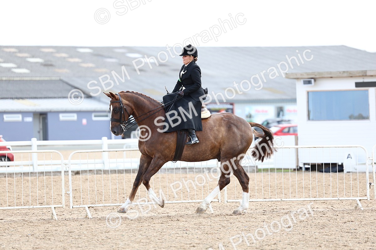 SBM_03226 - Class 22 - SSA Equitation (any age)