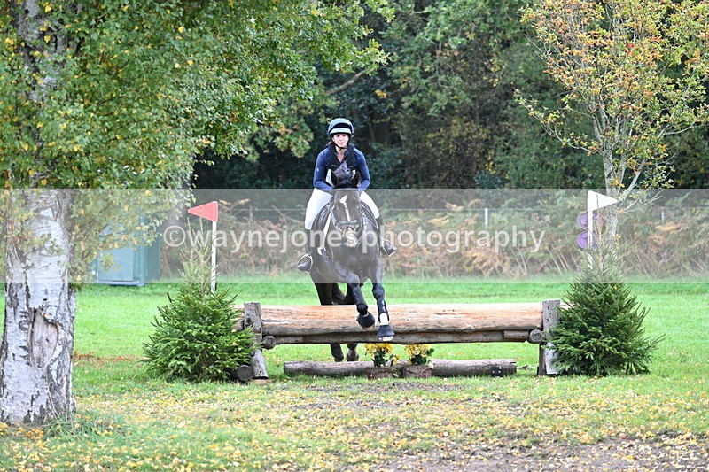 WJ7_3612 - Time 11:13 to 11:32