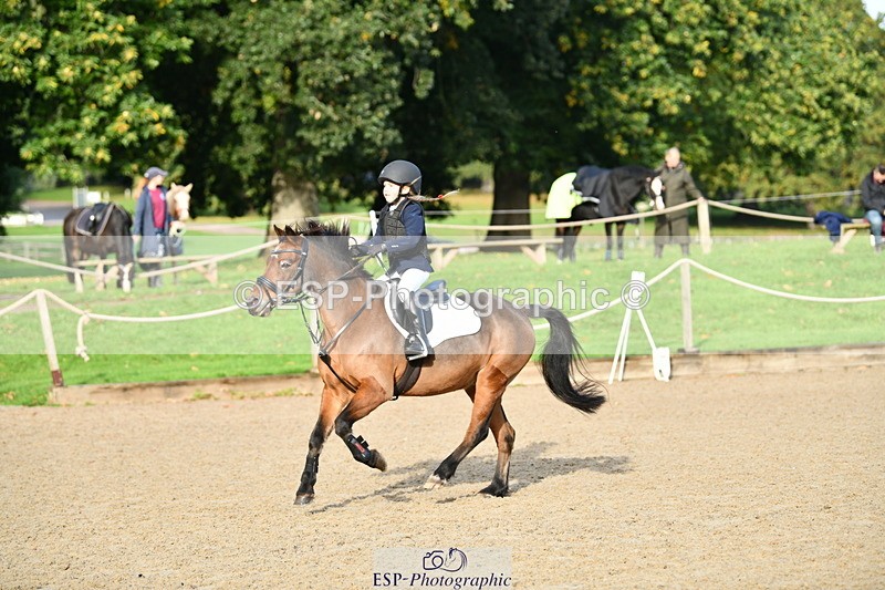 251004A-094031-00216 - Classes 1-2-3 40cm