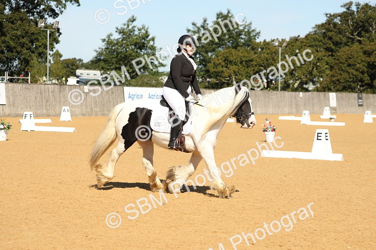 SBM_19624 - D10 - Small Tour Championship - Prelim 2