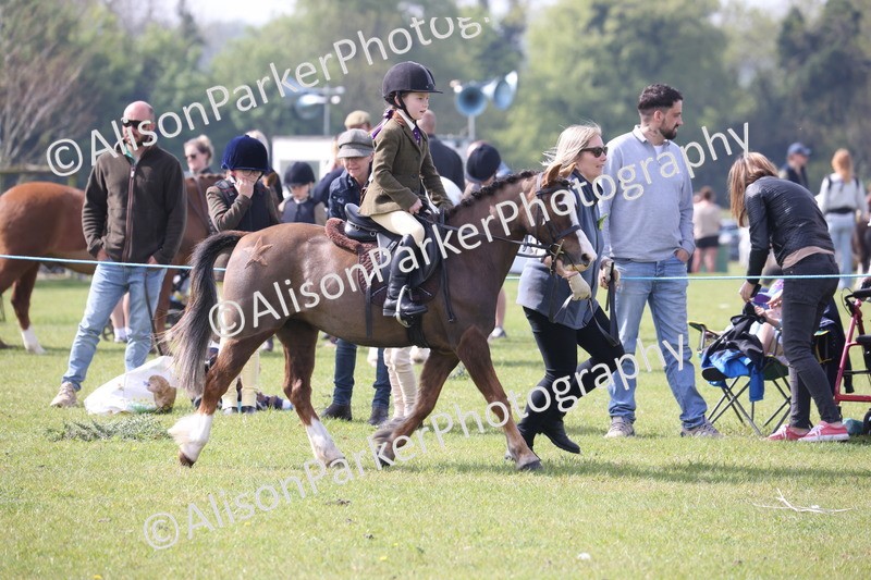 20260426-2525 - Class 31 - Leading Rein