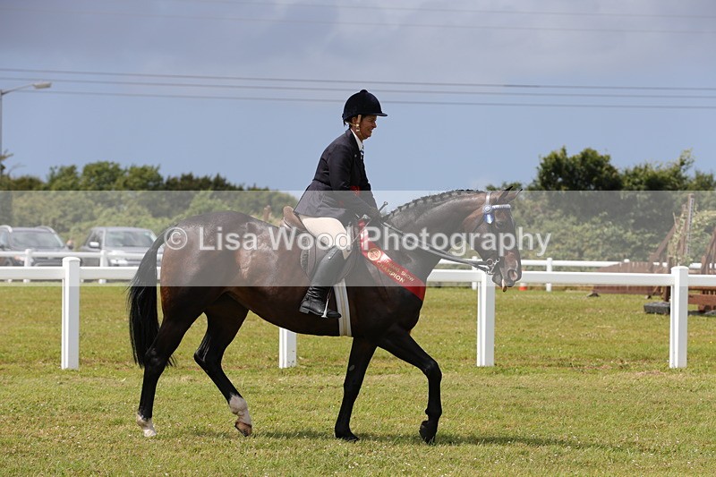 1X9A4985 - Veteran Championship