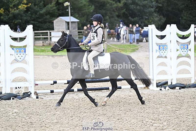 251005A-081702-02733 - Cls 01 GR 40cm