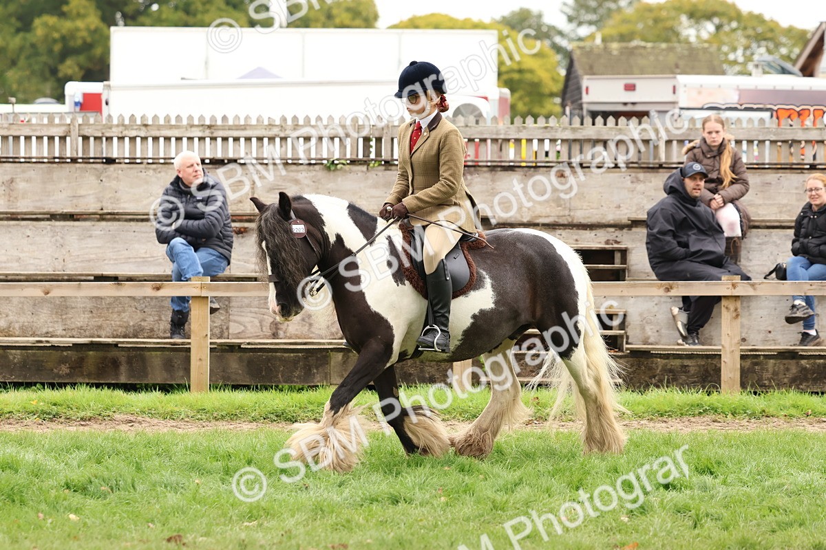 SBM_59969 - S36 - Rehabiliated Rescue Horse & Pony In Hand & Ridden