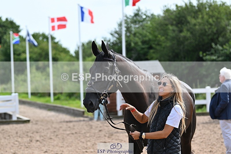 240717A-161638-03404 - Trot Up 4pm to 5pm