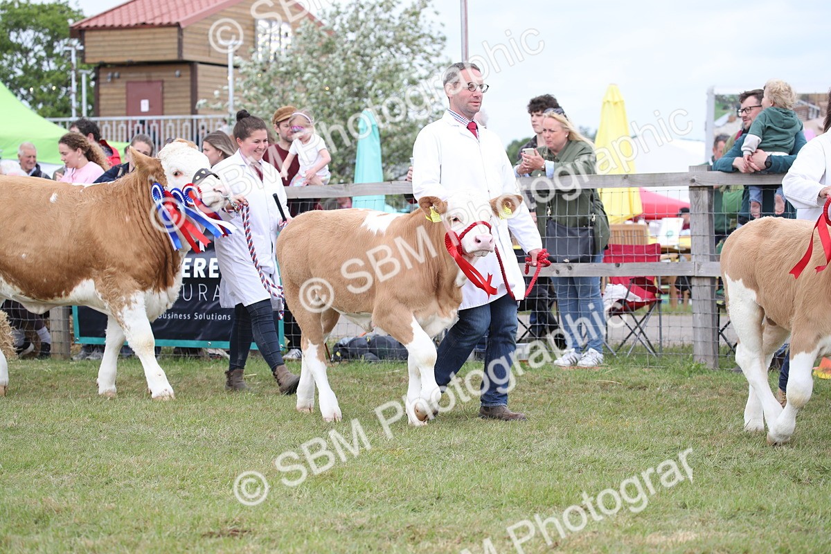 SBM_07862 - Grand Parade