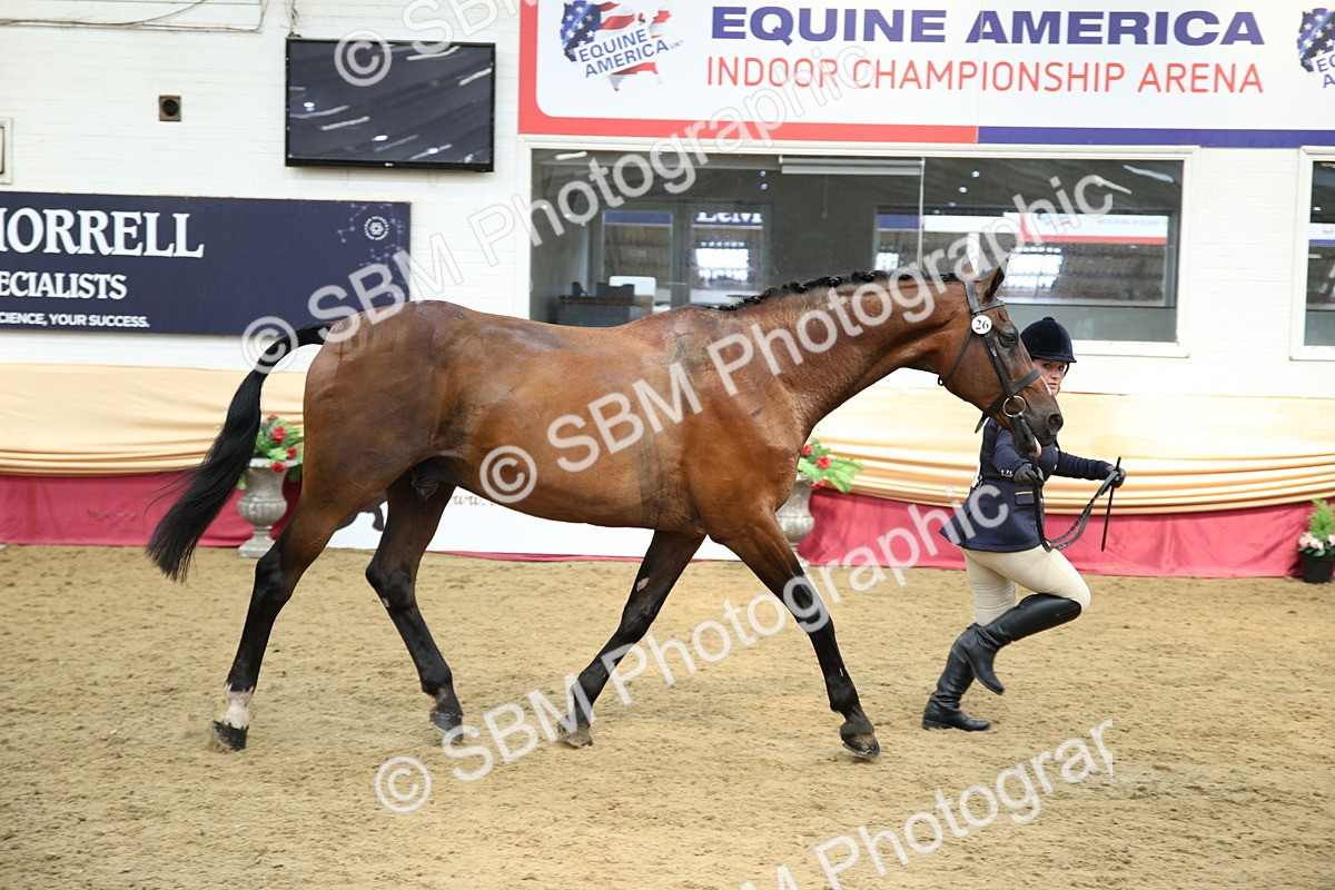 SBM_23392 - Class 904 - Supreme Final Ridden Diamond