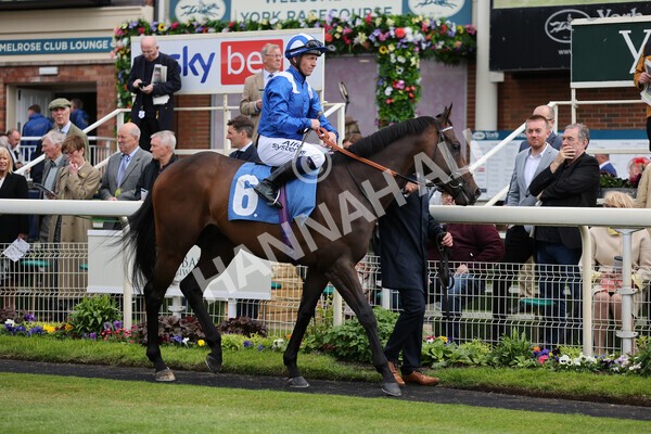 yr11052022r3-10 - Race 3 3.00pm 1895 Duke of York Clipper Logistics Stakes