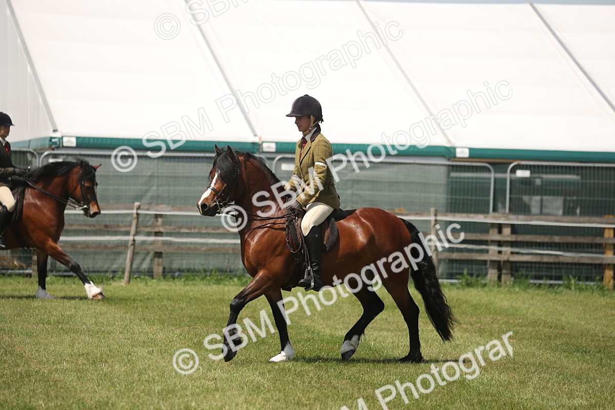 SBM_06936 - Class 26-30 - Mountain and Moorland Ridden
