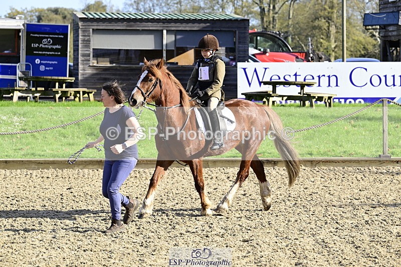 260411A-091019-00001 - 40cm Lead Rein
