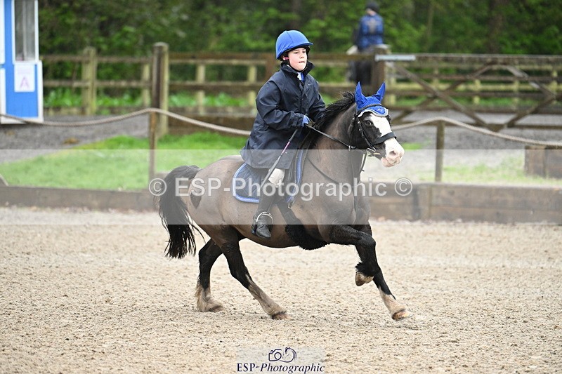 250418A-080917-00023 - NSEA GR 40cm and 50cm