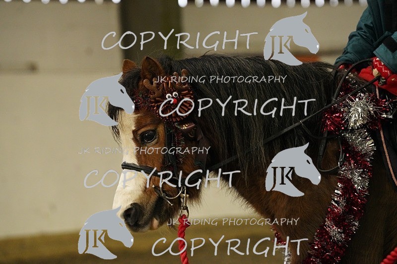 _DSC2638 - Mini Pairs