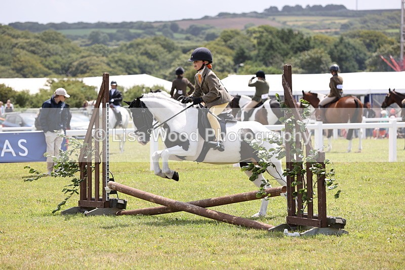JPP_1797 - Class 18: Tiny Tots Working Hunter Pony