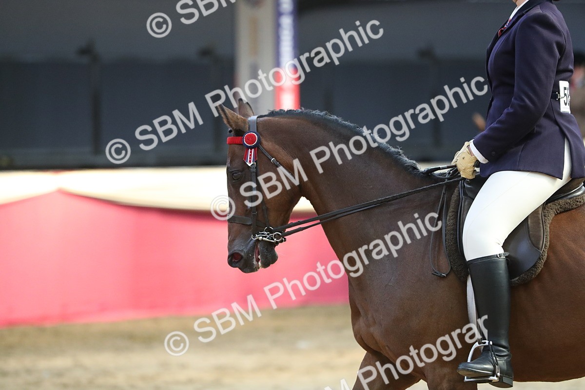 SBM_08343 - Class 11R Regional Ridden Veteran