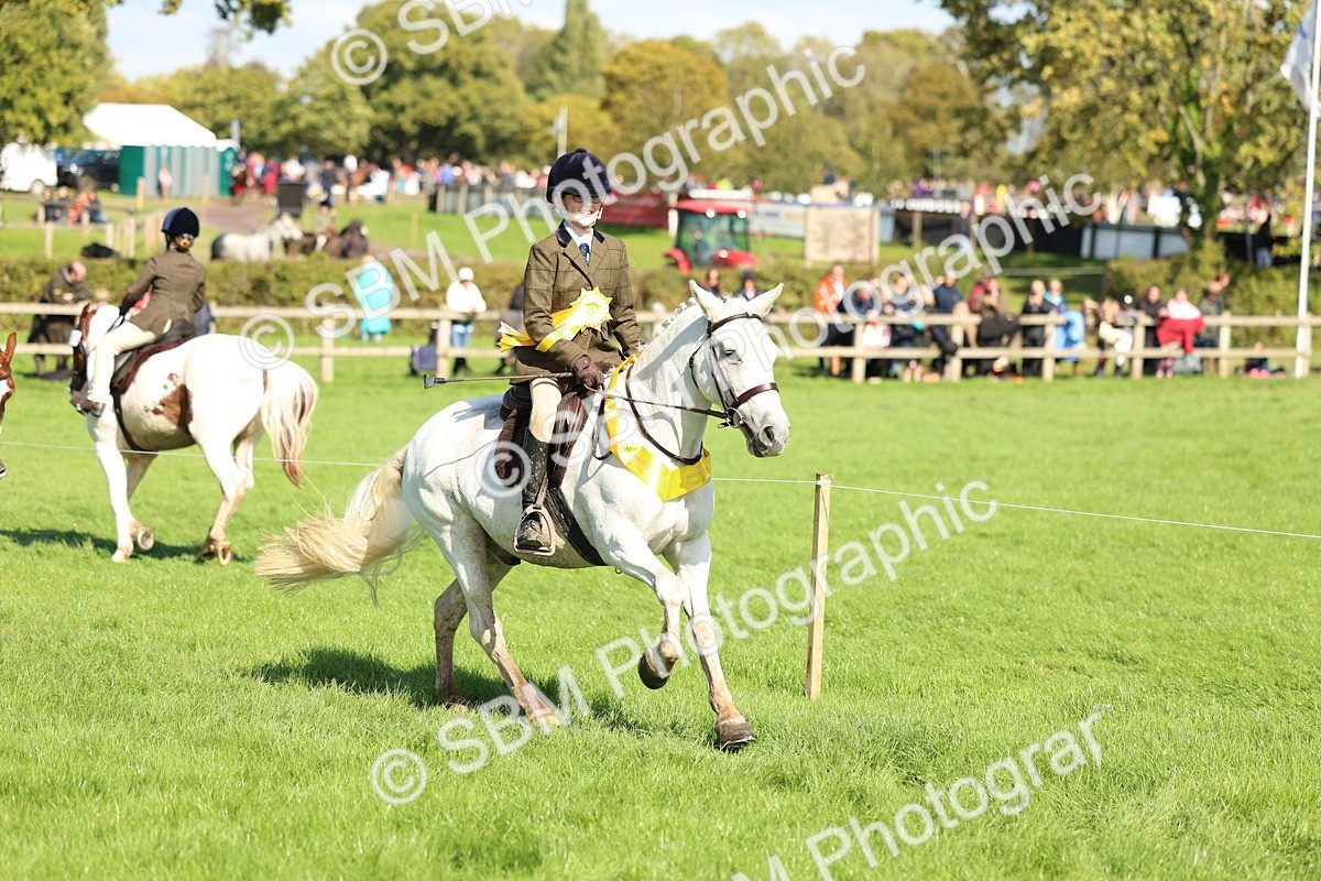 SBM_45466 - S33 - Working Hunter Pony