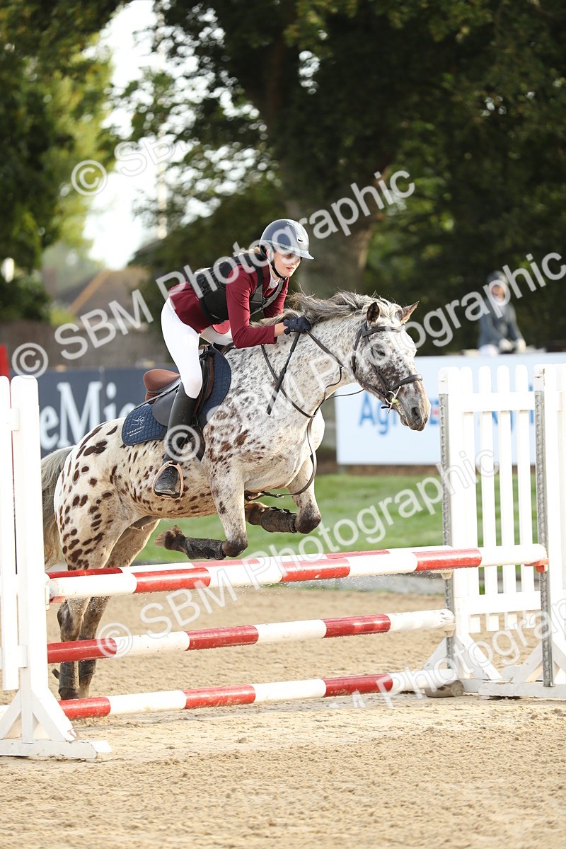 SBM_55941 - J24 - Junior Horse 75cm Championship