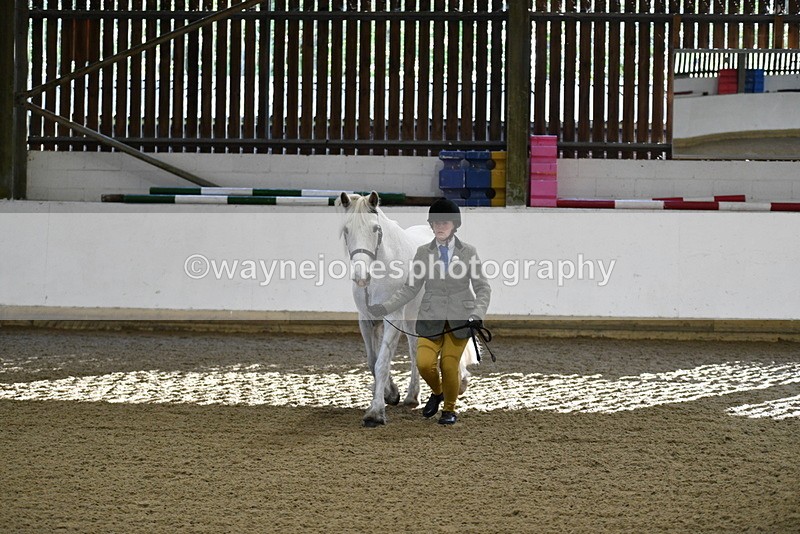 WJ5_3548 - Class 5 In Hand Veterans