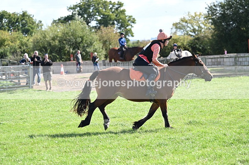 WJ7_1356 - Time 13:56 to 14:24