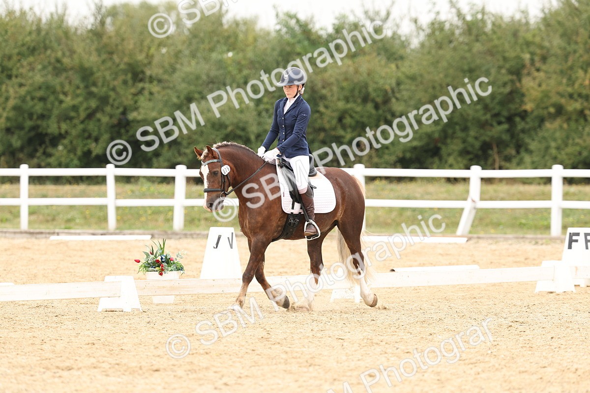 SBM_01033 - Class 8 - Novice 27 Champs