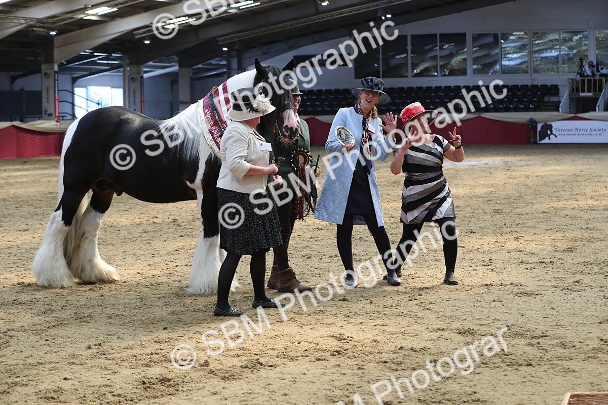 SBM_06576 - Regional IH Champ