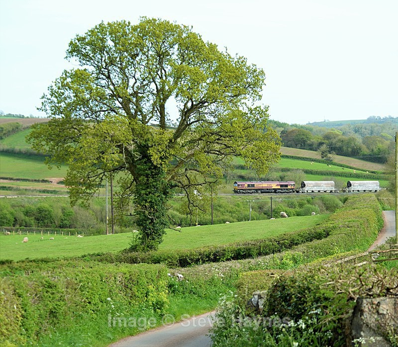 3rd May 2018 - Dainton Bank, Devon