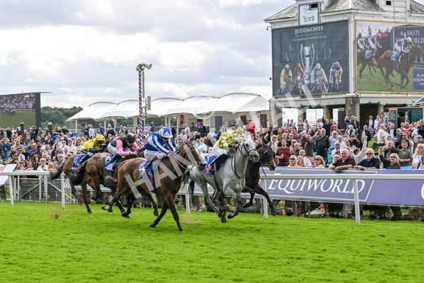 230824-Race 1-Shadow Dance-8713 - Race 1 1.50pm Sky Bet Handicap