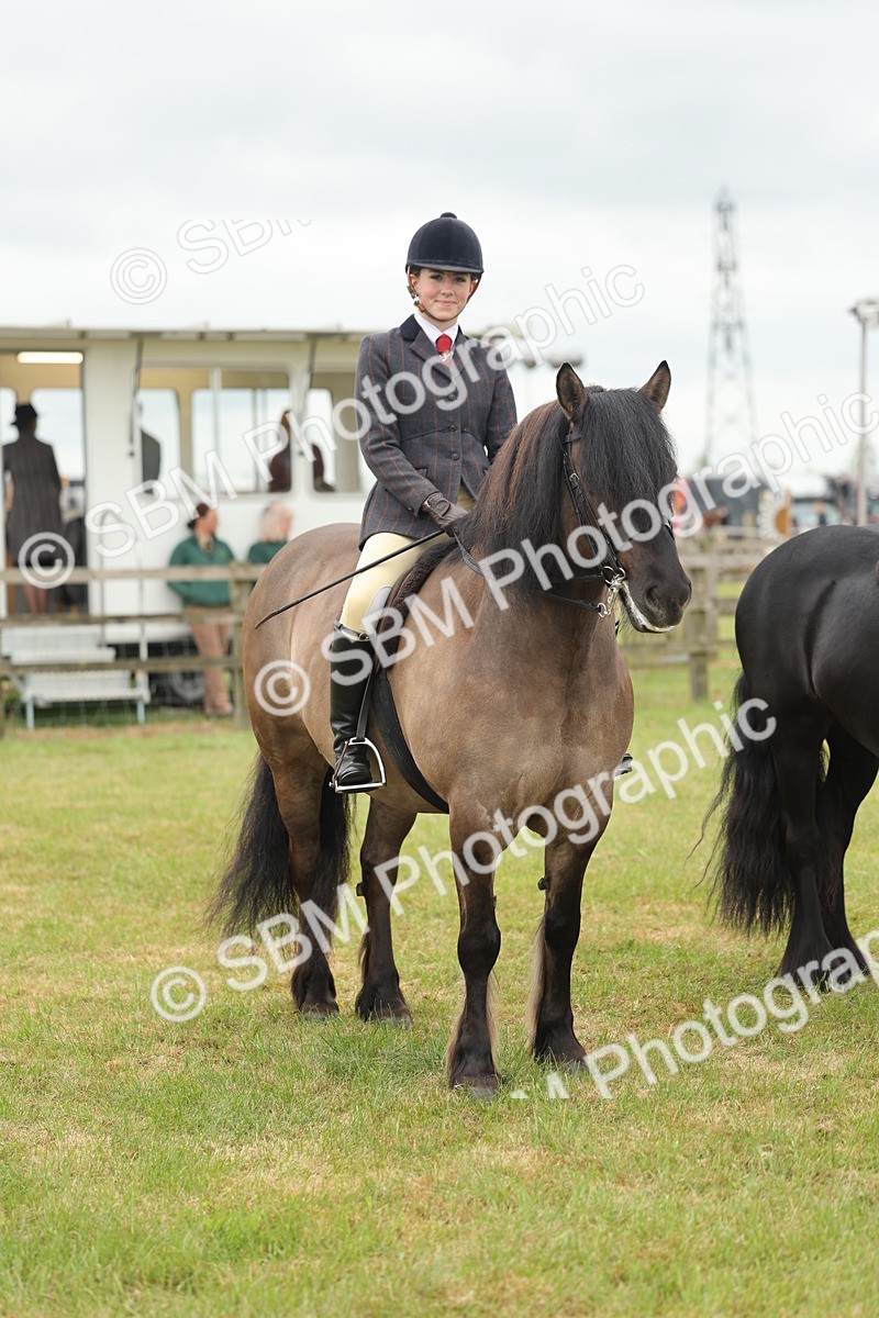 SBM_09015 - Class 78-80 - Ridden M&M Non Welsh Ponies