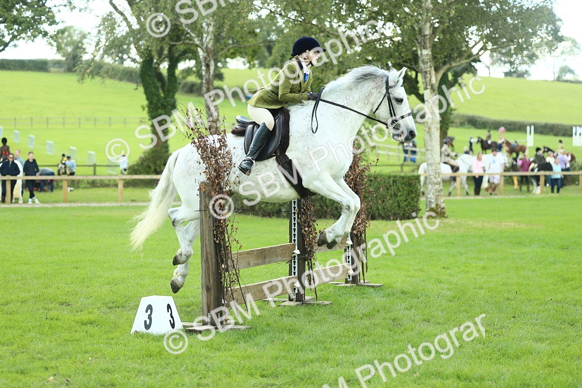SBM_43028 - S30 - M&M Working hunter Pony
