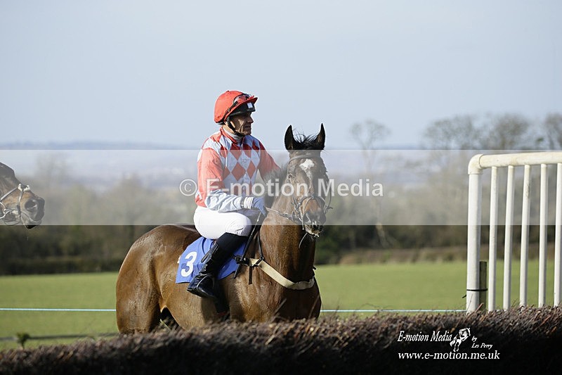 PtP 260222 645 - Kingston Blount Racing Club Point-to-Point 26/02/22
