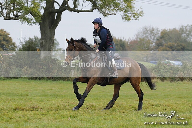 WWHT 181020 WWHT 181020 577 - WWEC Open Novice (0.80m) 18/10/20