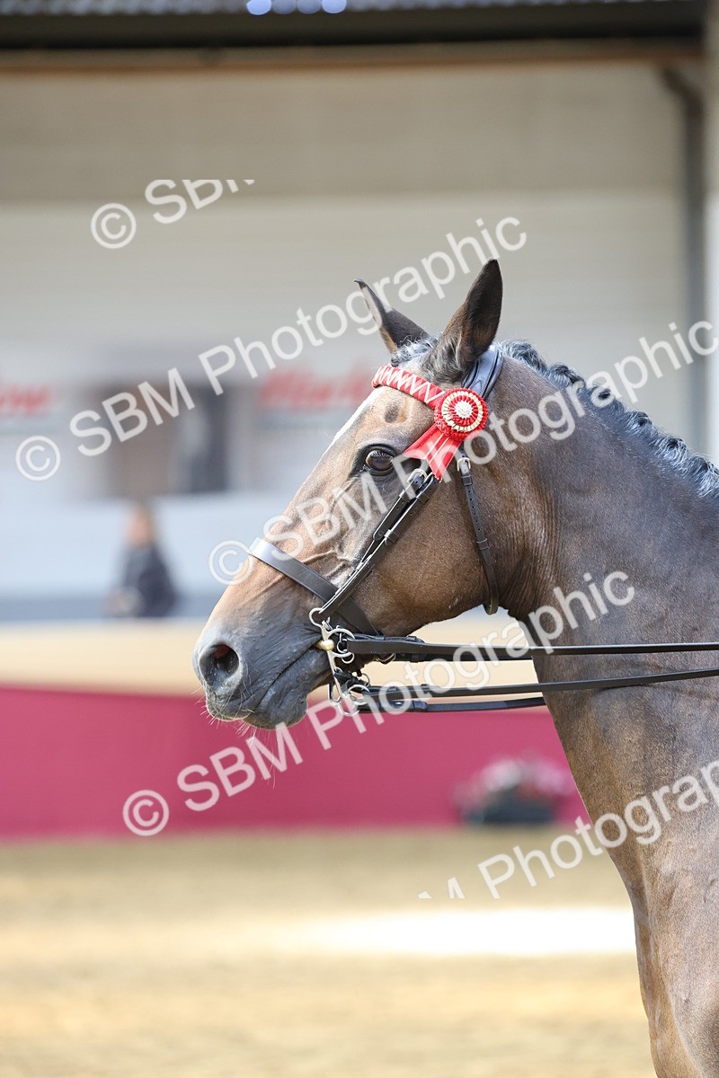 SBM_24125 - Class 905 - Supreme Final - Ridden Veteran