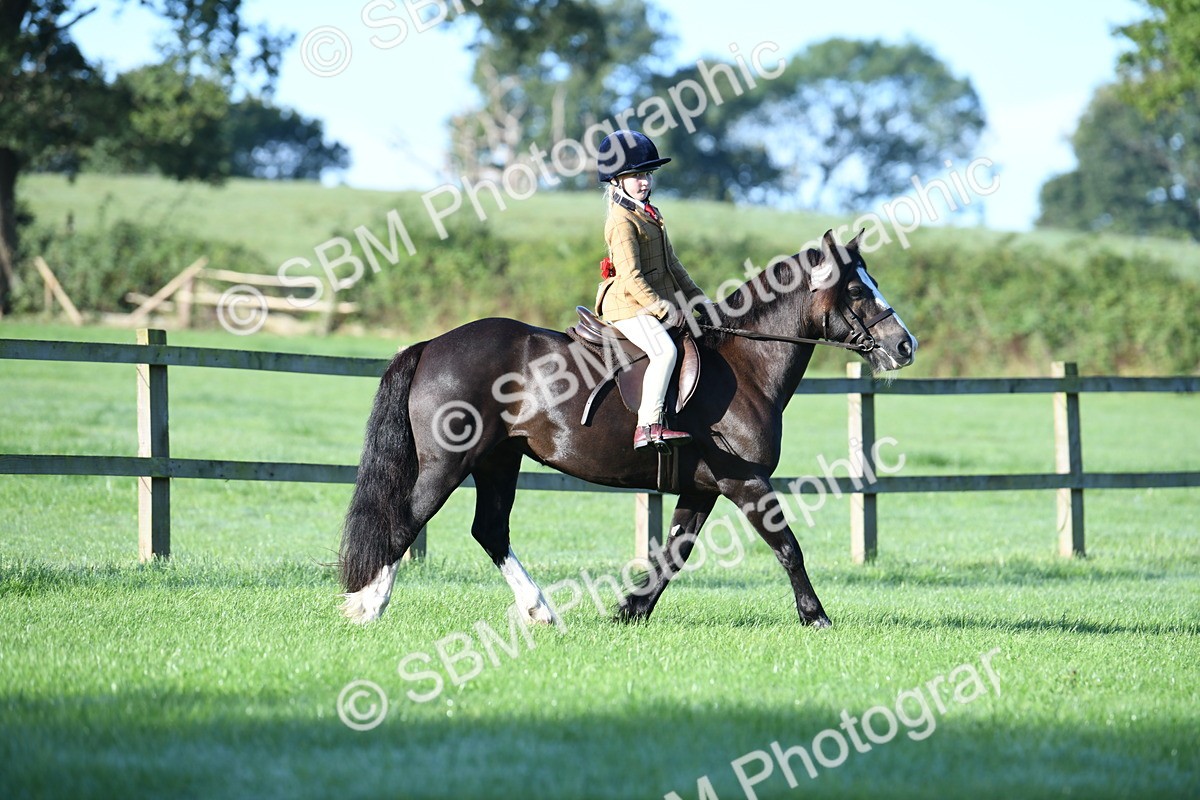 SBM_33937 - S16 - Condition & Turnout - Ridden