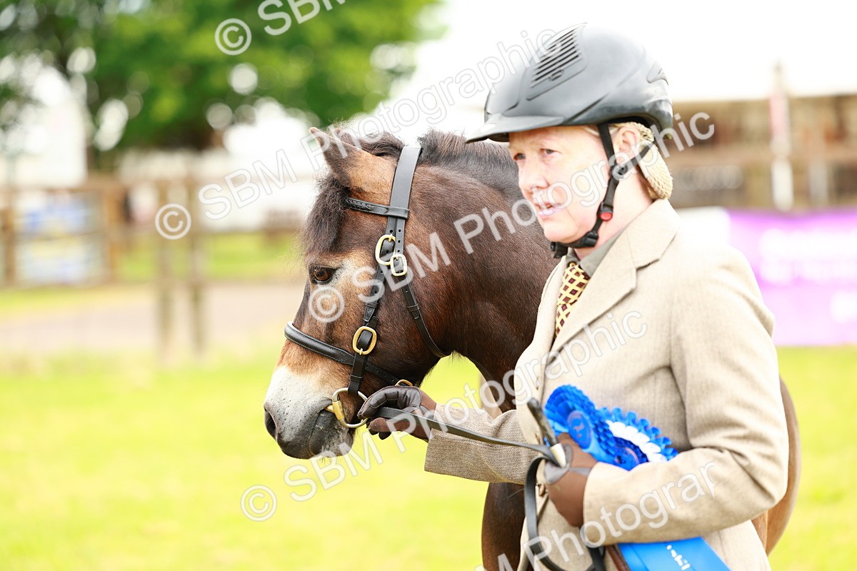 SBM_00289 - Class 58-67 - M&M Non Welsh Pony In hand