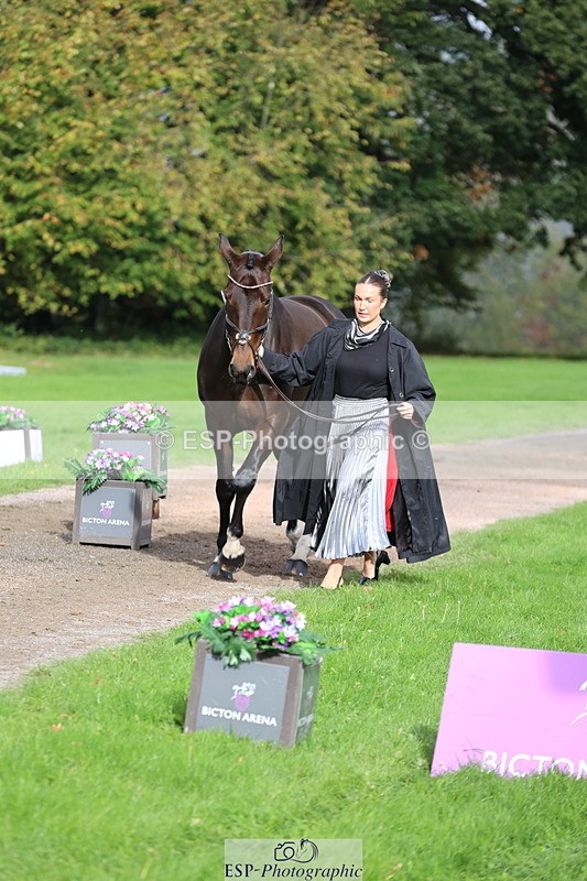 251026A-121210-25945 - G-562-Phoebe.Lagor