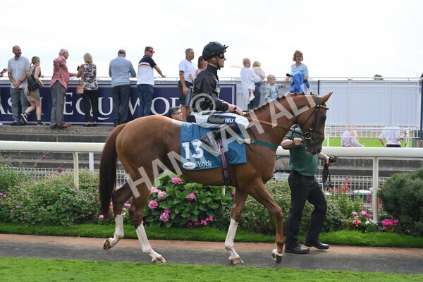 yr04092022r6-3 - Race 6 4.40pm Hanson Springs Stakes