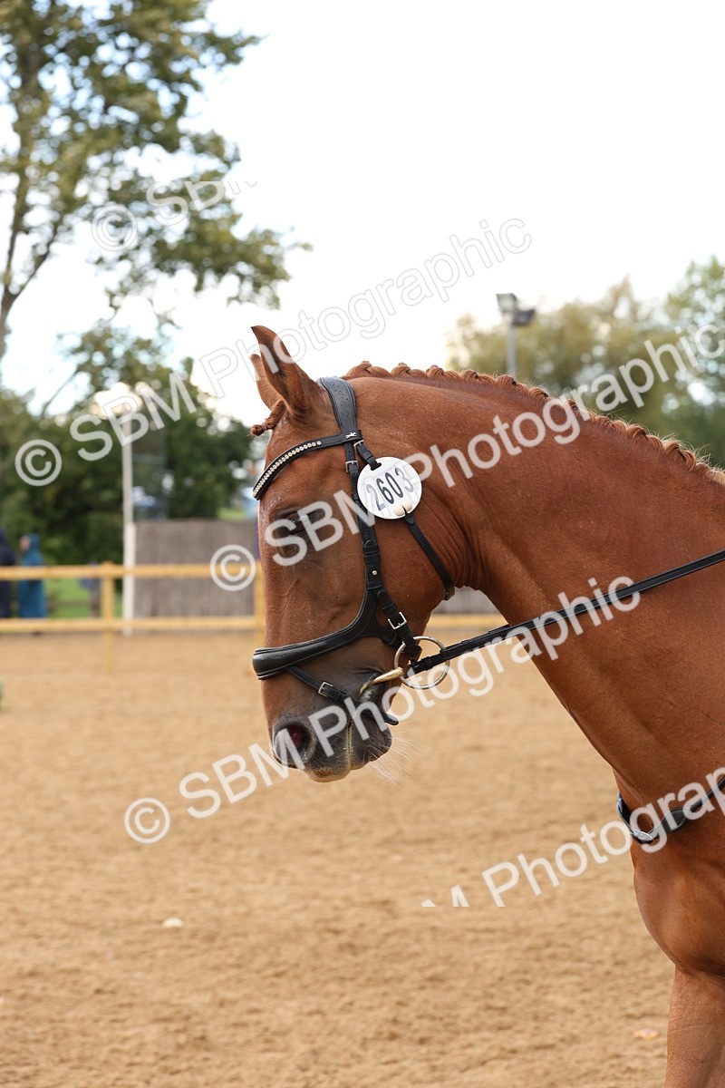 SBM_10741 - D9 - Small Tour Championship Prelim 3