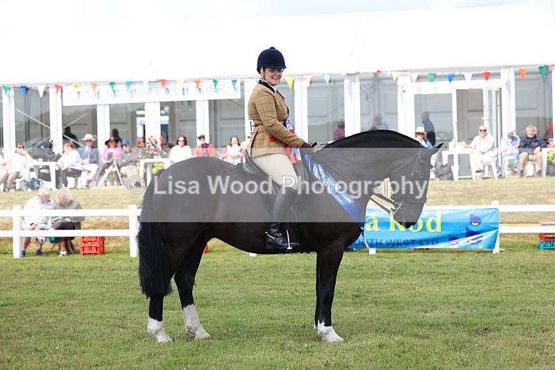 3E7A0687 - Rising Star Ridden Championship