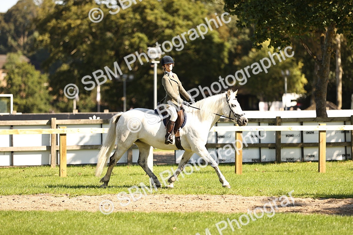 SBM_19151 - S3 - TSR Ridden Pony Showing