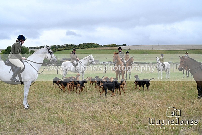 WJ7_0779 - Berks & Bucks Hound Exercise Blewbury 13-09-26
