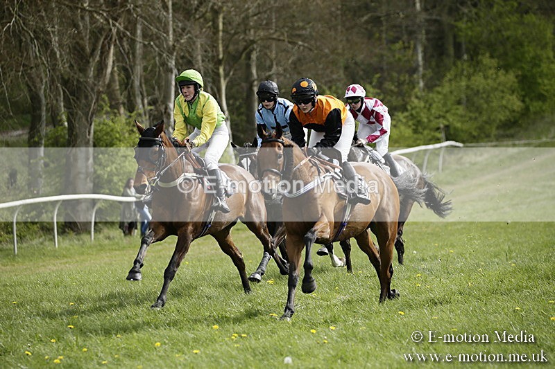 PtP 170417 292 - Old Berks Point-to-Point Lockinge 17/04/17