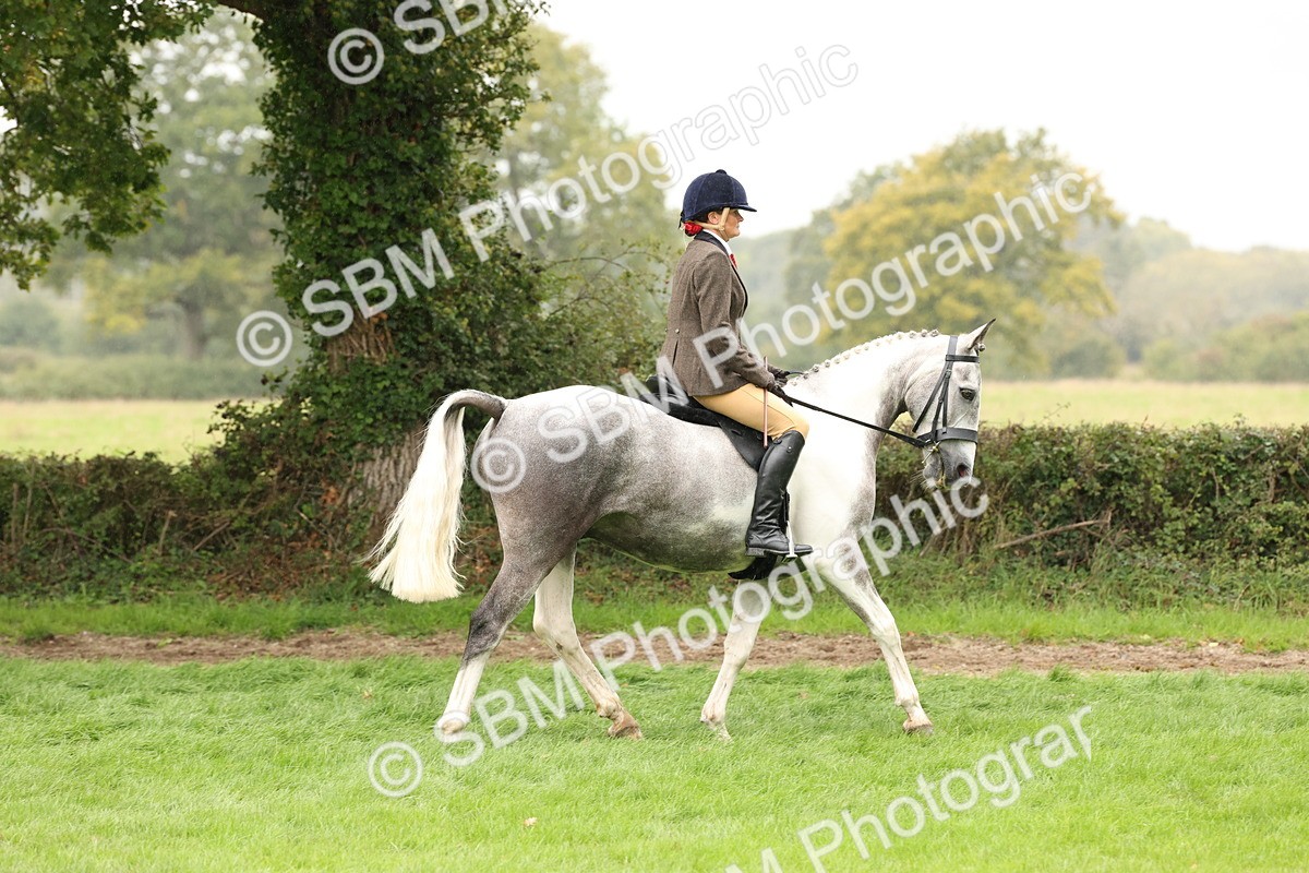 SBM_69879 - S68 - Other Coloured Horse Ridden