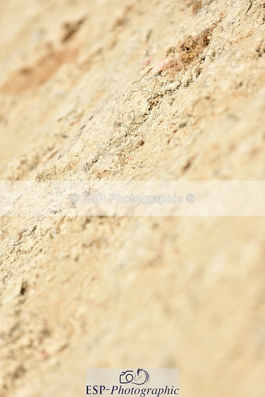 230706-134108-03139 - Cls 6 Newcomers & 1.10m Open