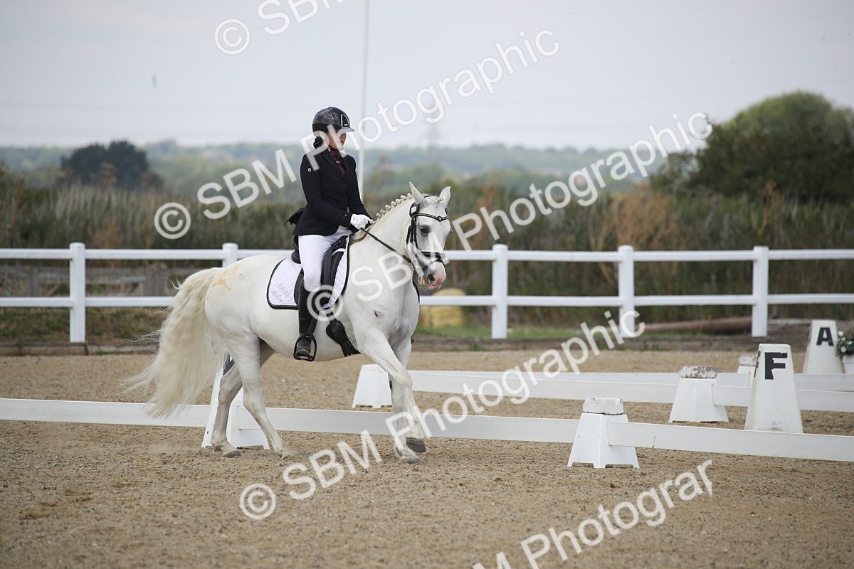 SBM_008133 - Novice 5 - 10.56-13.12