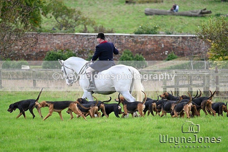 WJ7_4792 - Edited examples