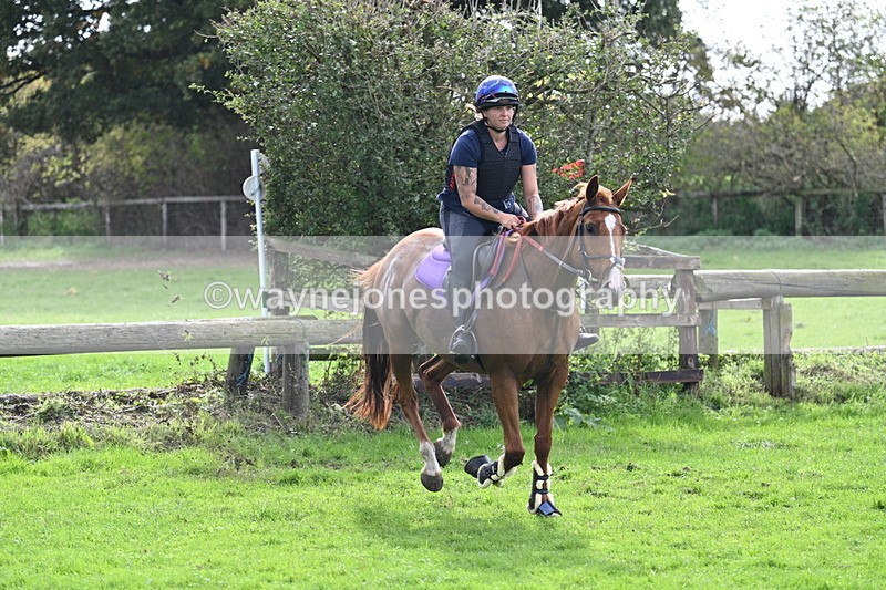 WJ7_9738 - Time 13:13 to 13:55