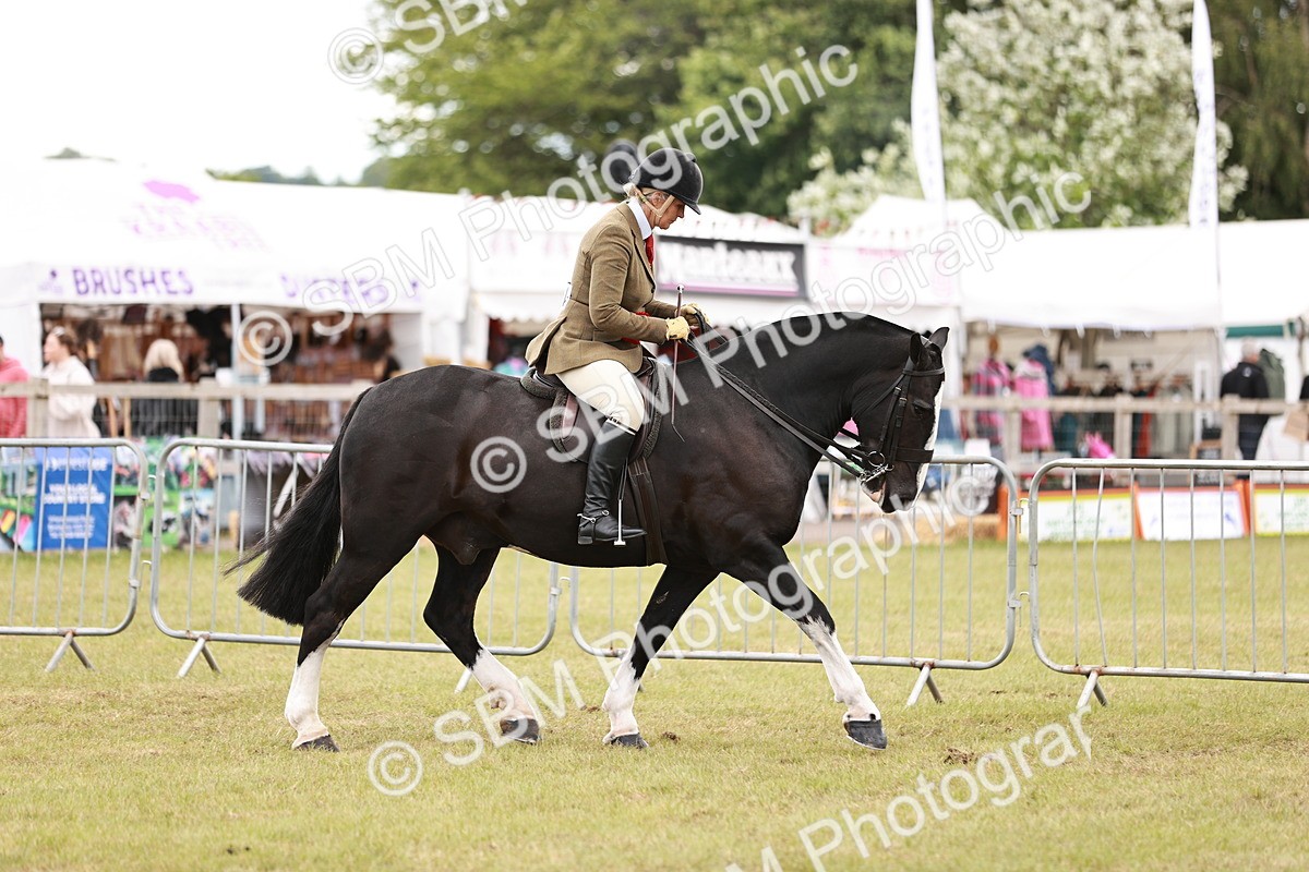 SBM_14084 - Class 85-87 - RIHS Cobs